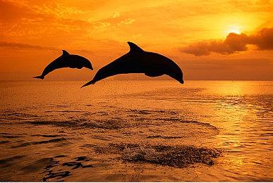 《野狗子》新预告和实机演示 少女大战恐怖怪物