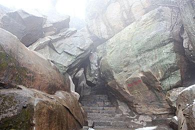 世嘉提交全新商标申请 与如龙工作室新作相关